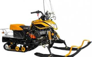 Снегоходы dingo T200 LUX NEW 2021
