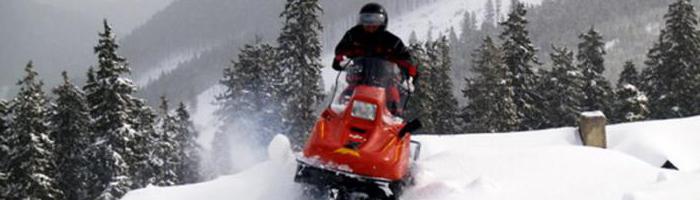 снегоход буран цена